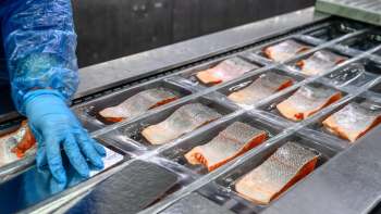 A person with gloved hands places salmon fillets in individual containers on a production line.