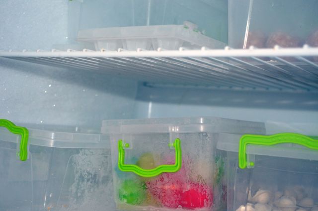 Items in a freezer.