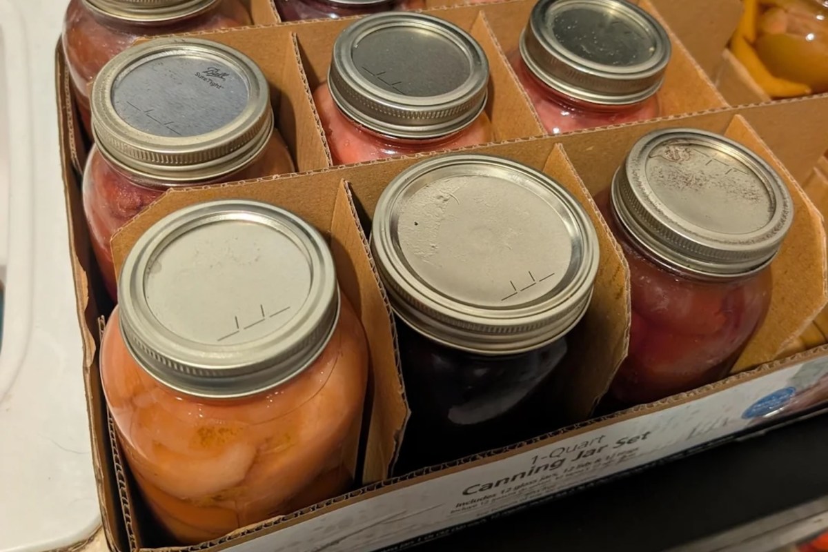 Jars of discolored fruits.