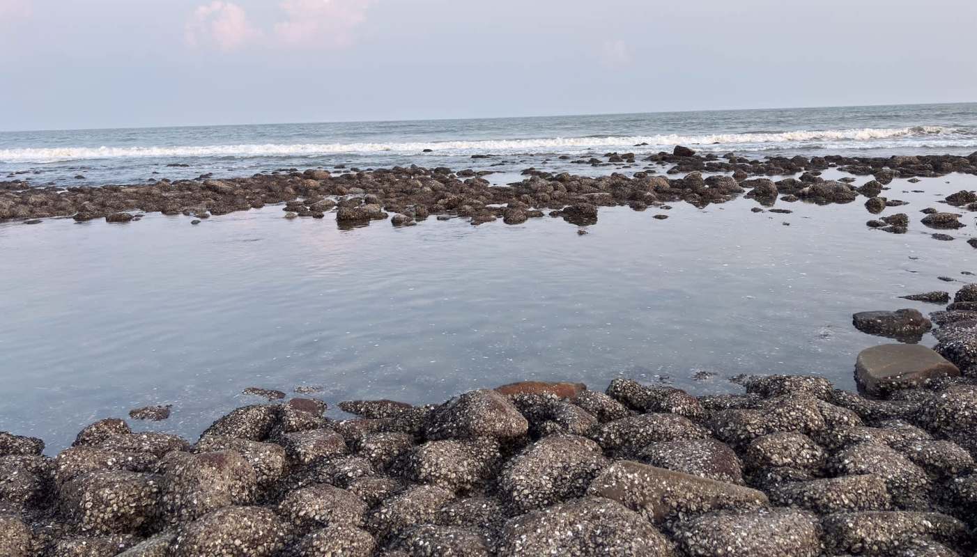 Rocky shoreline with tidal pools and gentle waves against a distant horizon.