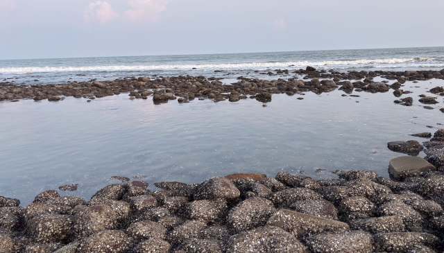 Rocky shoreline with tidal pools and gentle waves against a distant horizon.