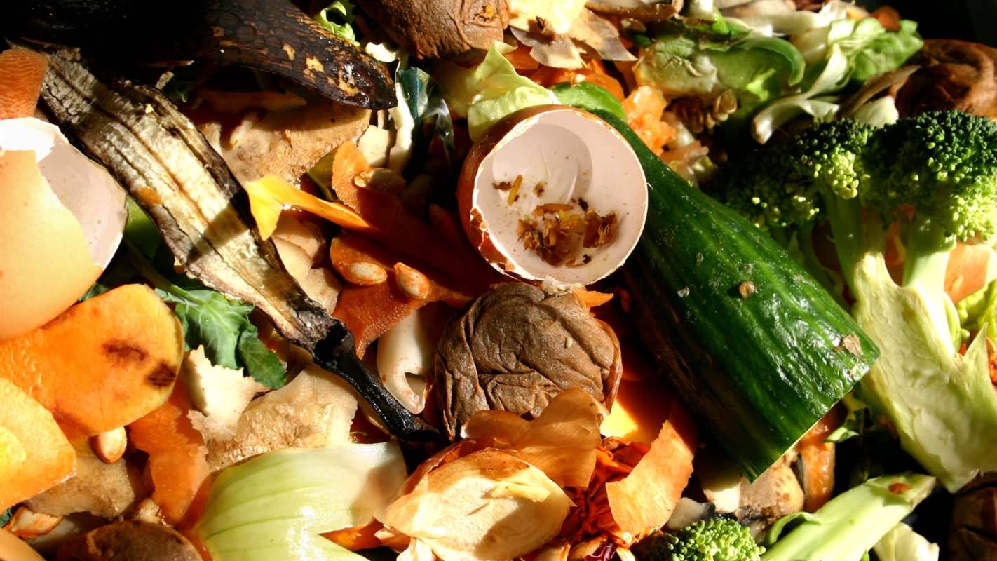 A pile of assorted food scraps, including vegetable peels, egg shells, and vegetable remnants.
