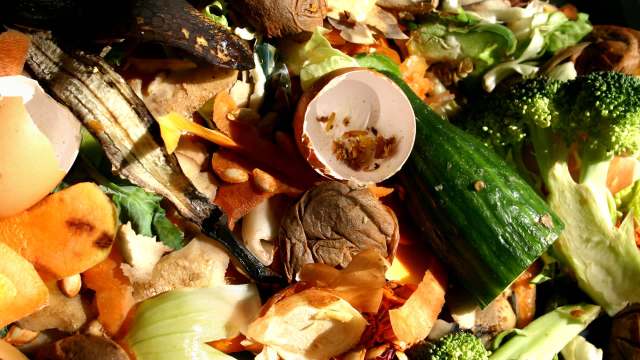 A pile of assorted food scraps, including vegetable peels, egg shells, and vegetable remnants.