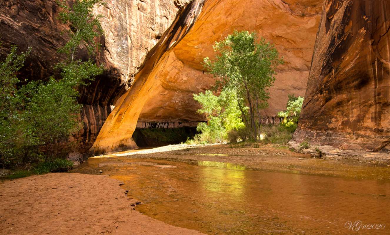 A rock formation with a river running beneath and trees growing in the surrounding area.