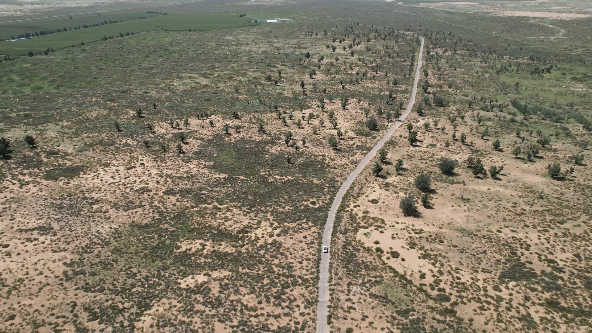 China's Great Green Wall pushes back Gobi sands, and the scale is hard to grasp
