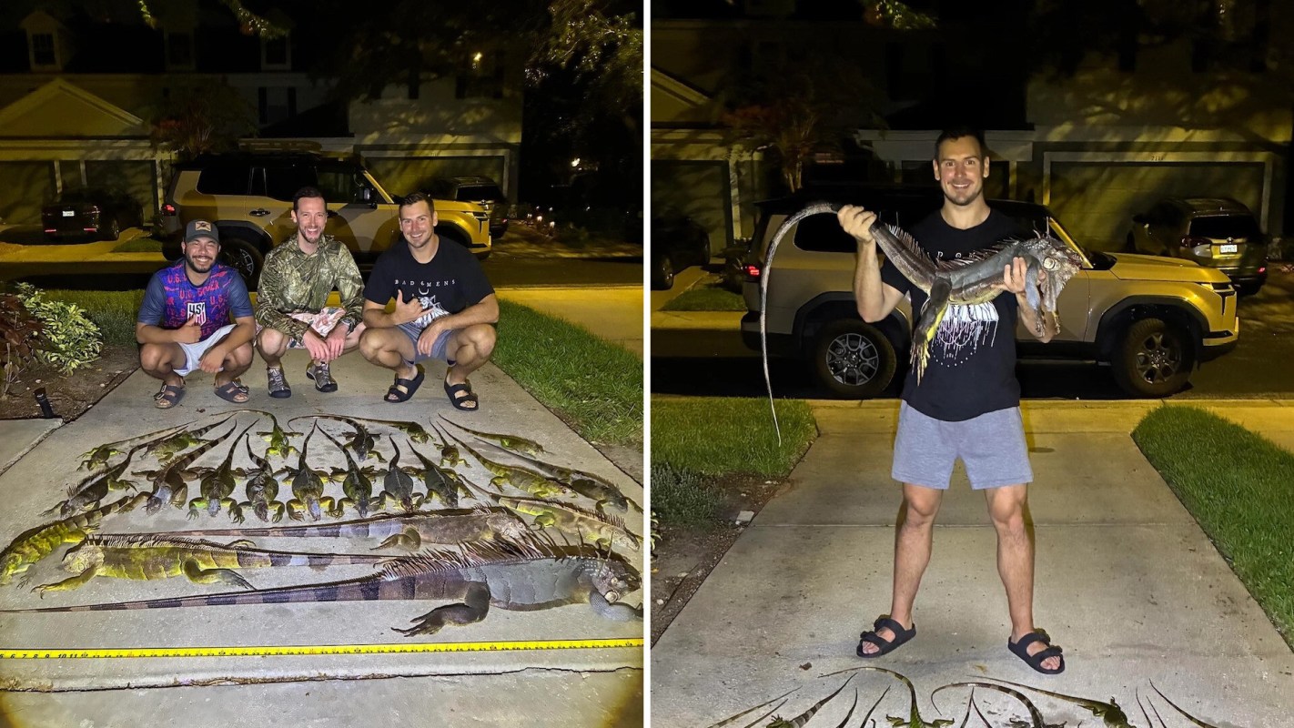 Three men pose with a variety of fish on a driveway, while another man holds a large iguana nearby.