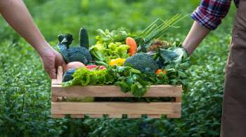 Two people hold a wooden crate filled with assorted fresh vegetables.