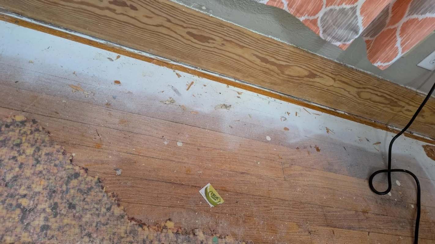 A dirty floor with scattered debris.