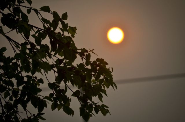 A hazy sun.