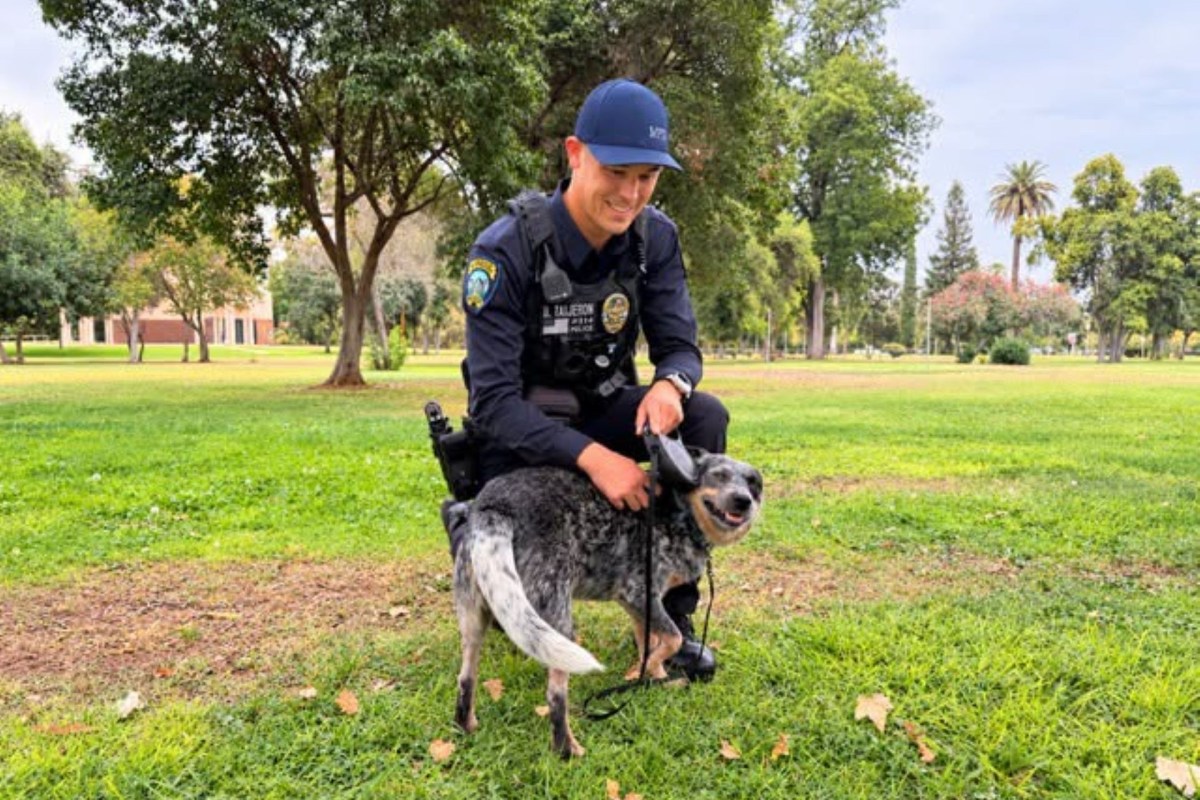 Officer Taijeron and the Queensland Heeler.