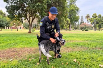 Officer Taijeron and the Queensland Heeler.
