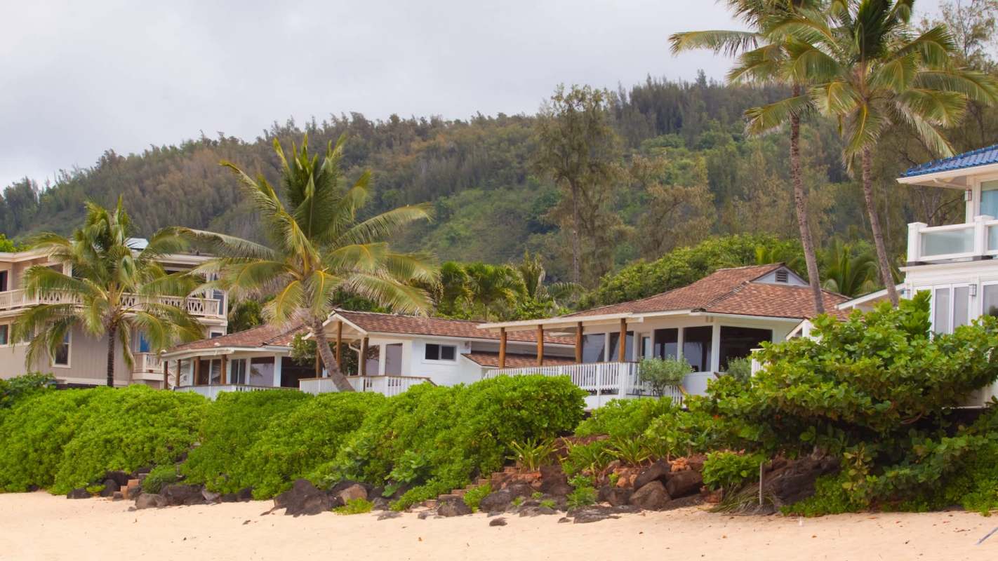 Houses with palm trees and shrubs near a sandy beach in a tropical setting.