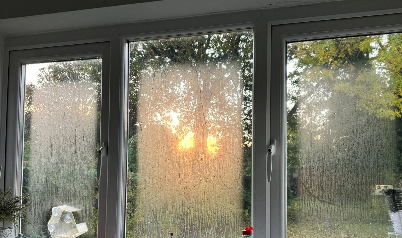 Condensation on windows.