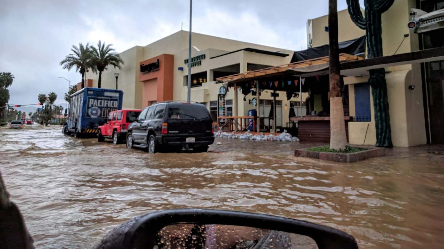 Vehicles are partially submerged in floodwaters near a commercial area with palm trees in Mexico.
