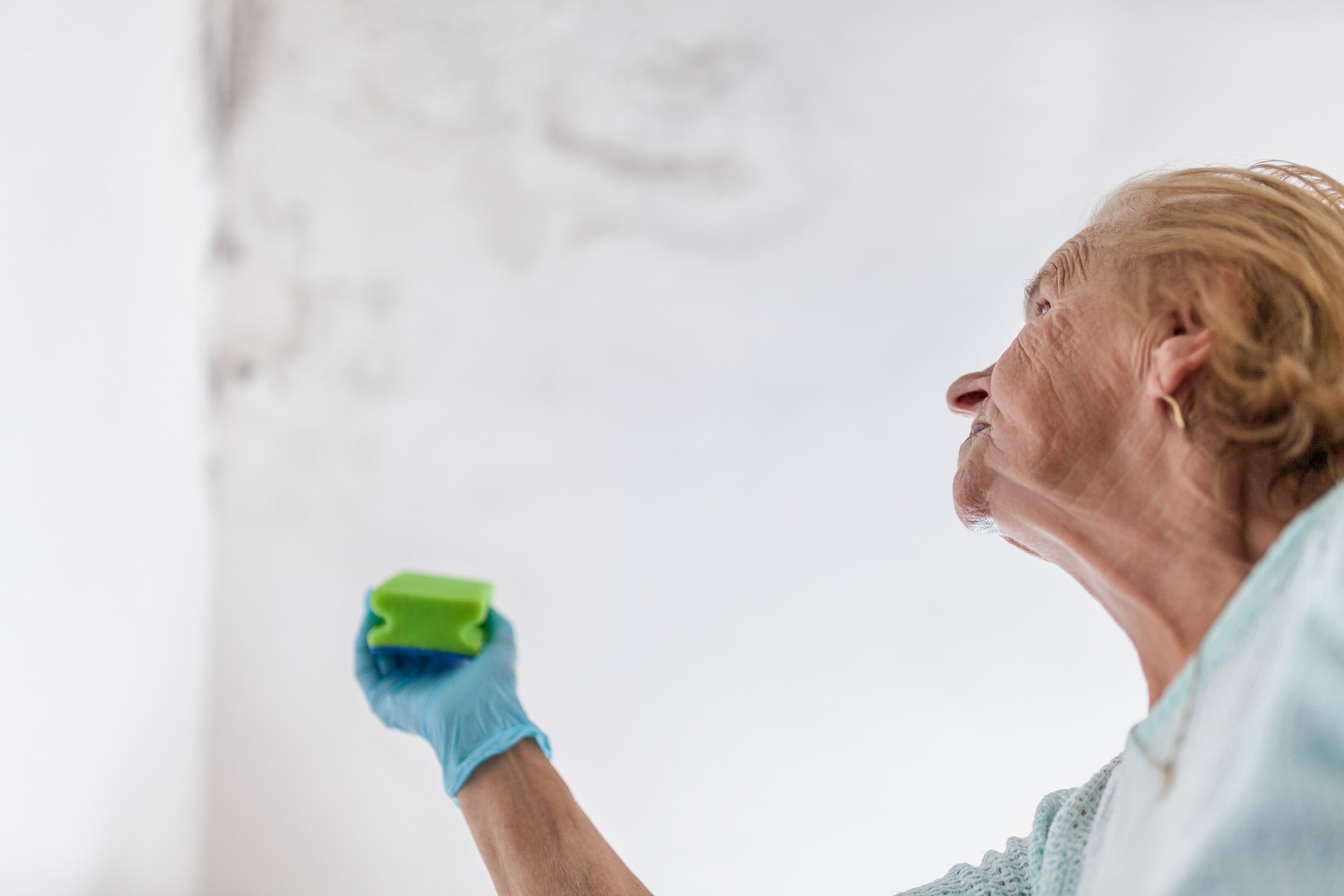Kentucky city rewrites landlord rules as senior tenants describe leaks, mold, and mushroom issues