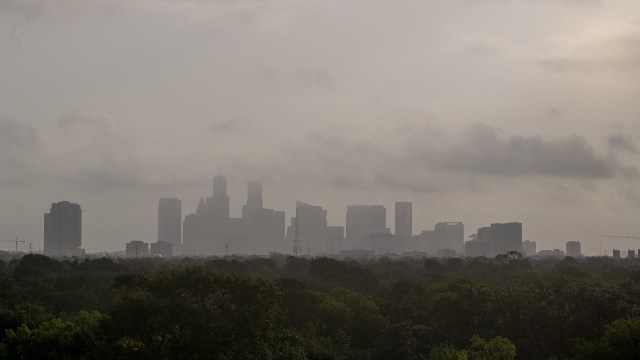 A city skyline obscured by Saharan dust clouds, with trees in the foreground.