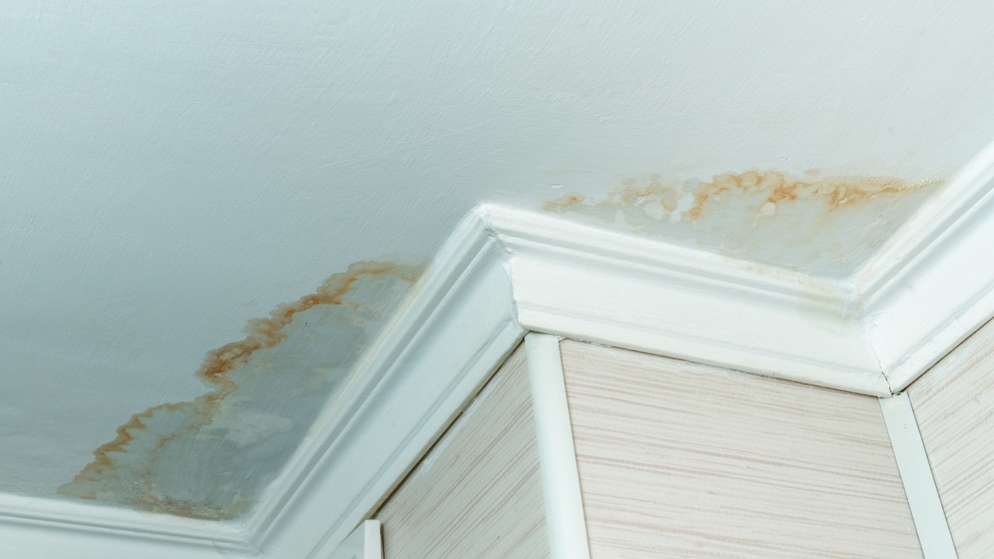Ceiling with water stains and discoloration at the corner, adjacent to a wall with light wood paneling.