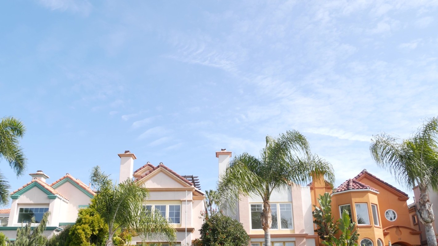 A row of houses on a street lined with palm trees.