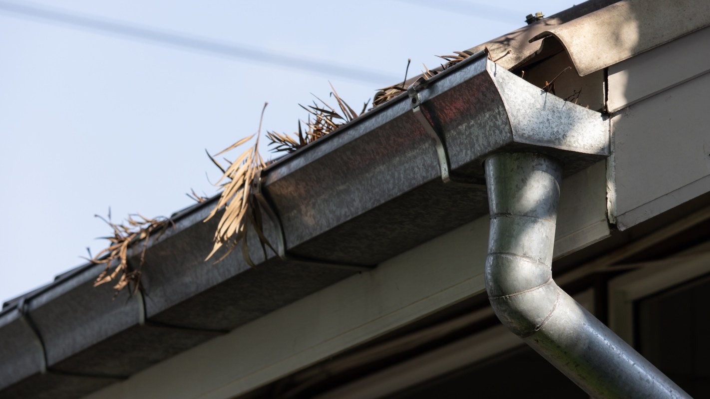 A gutter with leaves and debris on a roof edge.