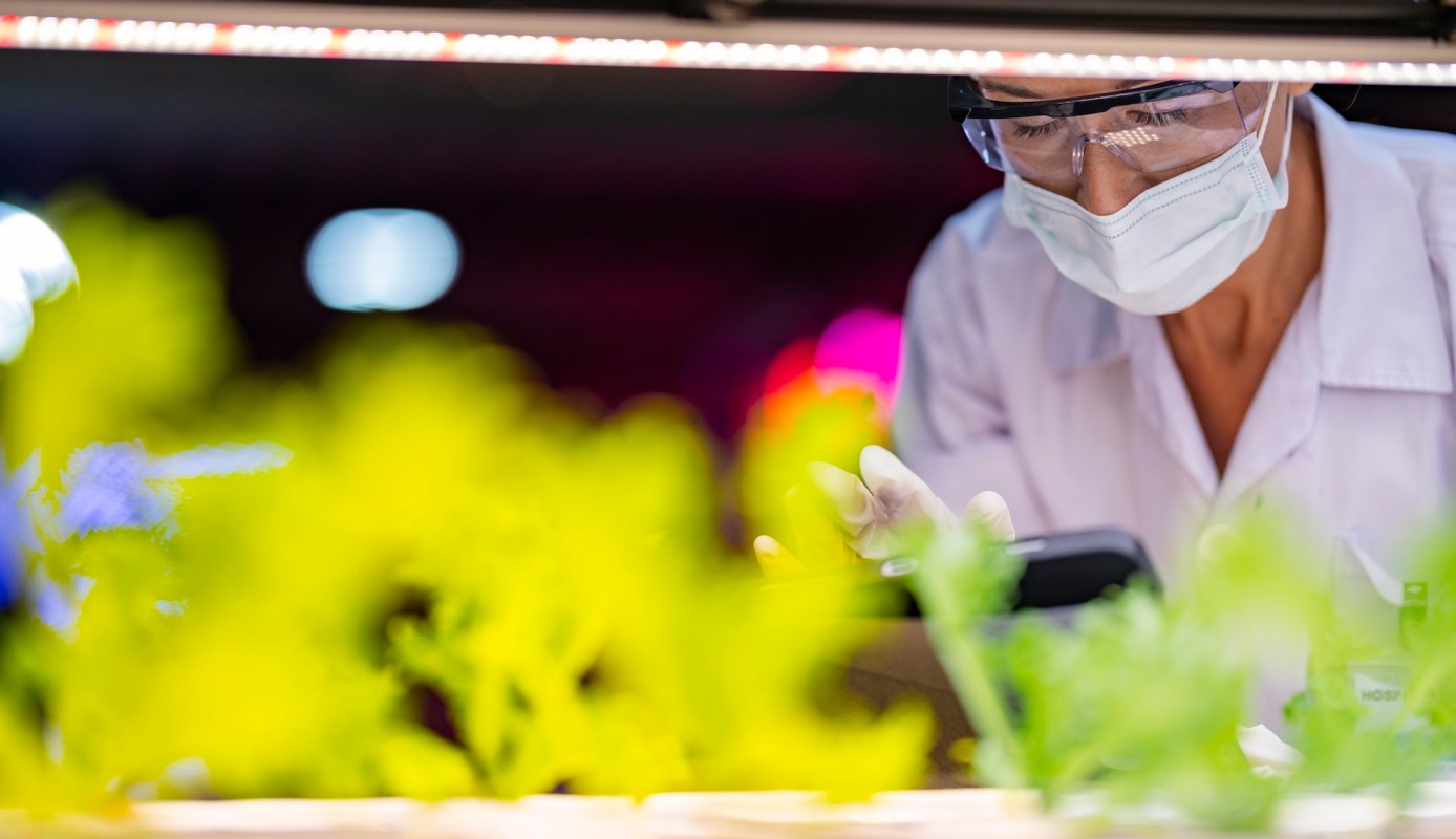 A person in protective gear examines plants under grow lights in a laboratory setting.