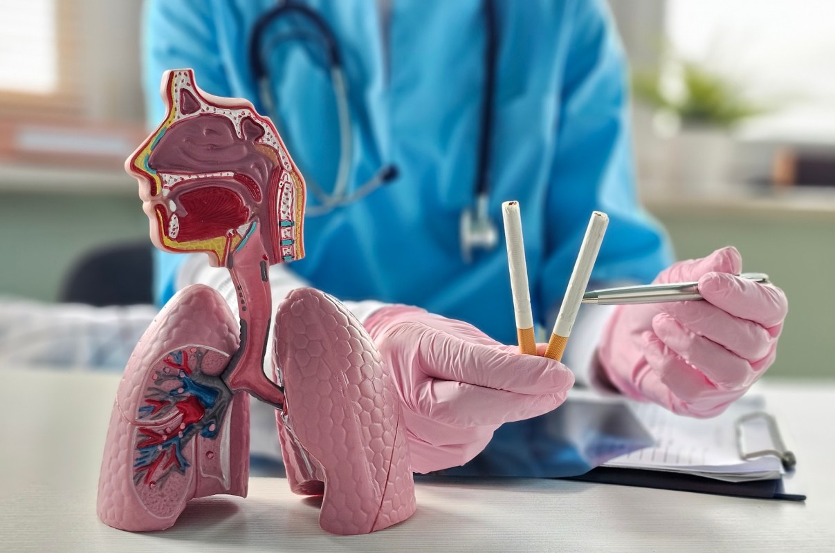 A medical professional holds a model of lungs and discusses the effects of smoking with cigarettes in hand.