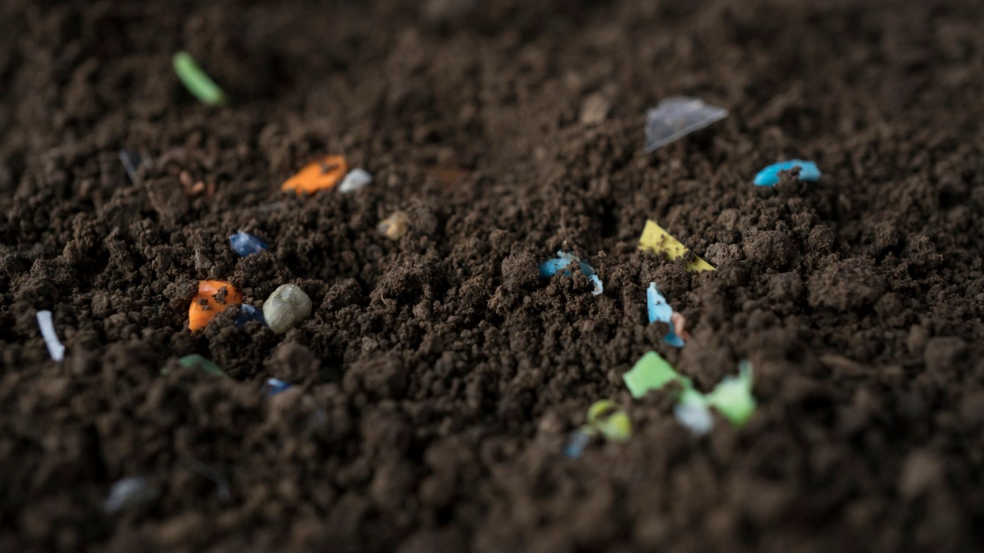 Soil with small pieces of colorful microplastic debris scattered throughout.