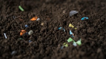 Soil with small pieces of colorful microplastic debris scattered throughout.