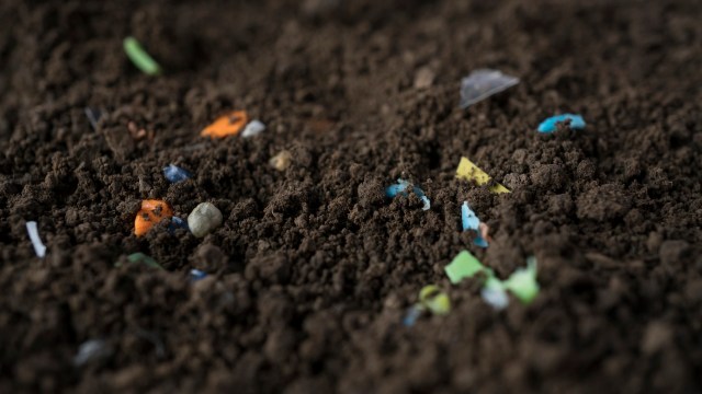 Soil with small pieces of colorful microplastic debris scattered throughout.