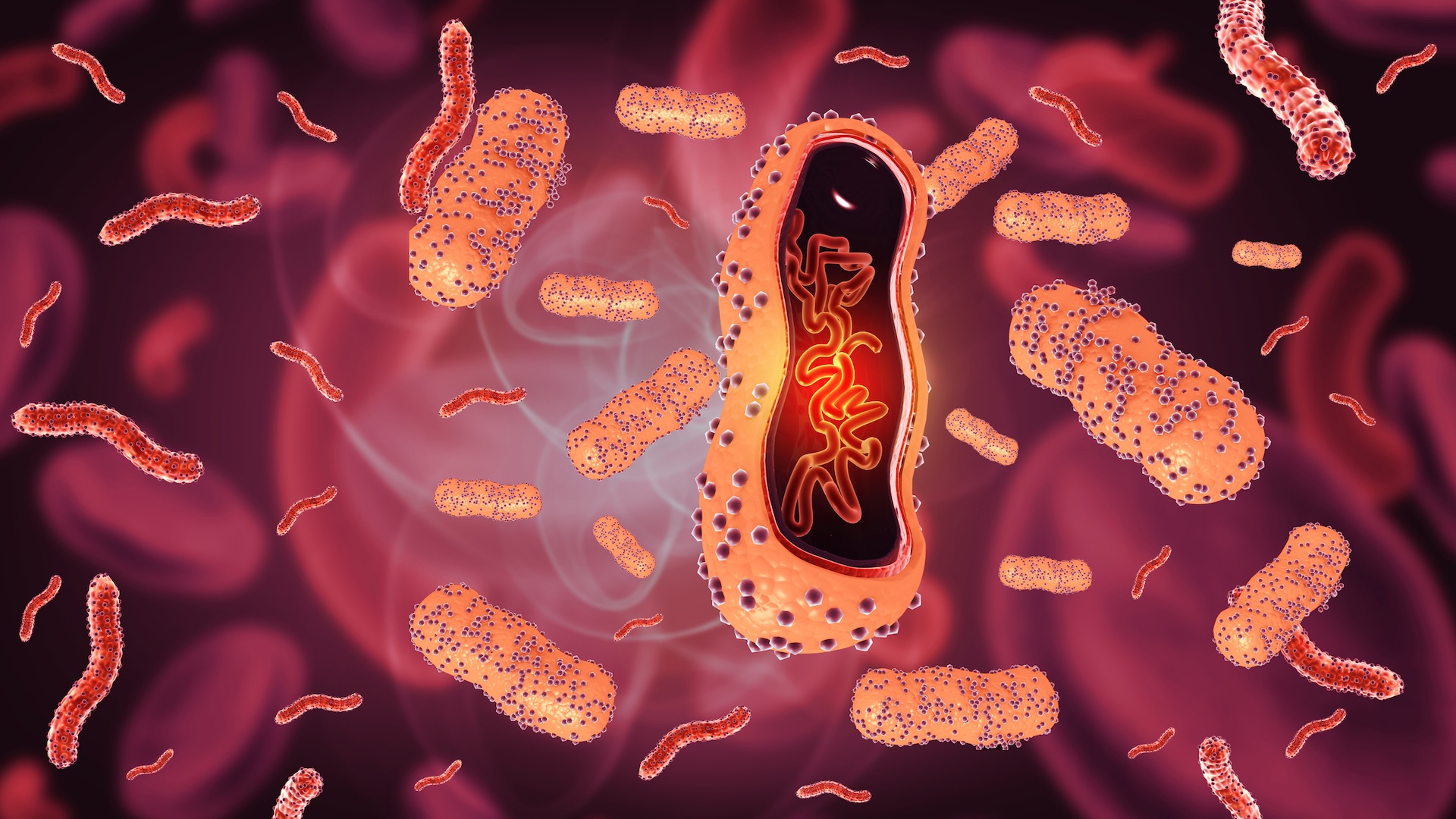 Michigan man's fatal kidney transplant exposes why 90% of US rabies cases go undetected