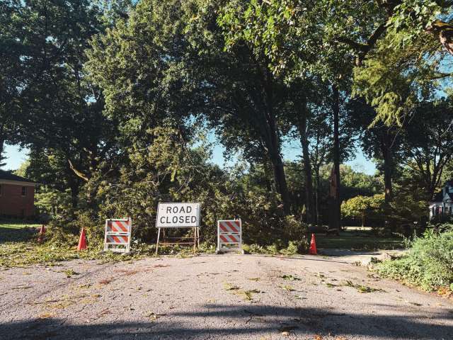 A "Road Closed" sign obstructed by fallen branches and debris in a wooded area.