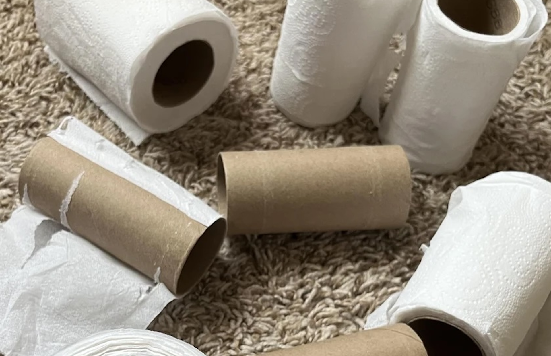 Housekeeper calls out company for trashing partial TP rolls, saves what they can