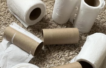 Some toilet paper rolls.
