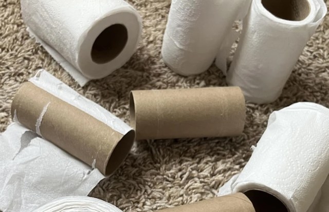 Some toilet paper rolls.