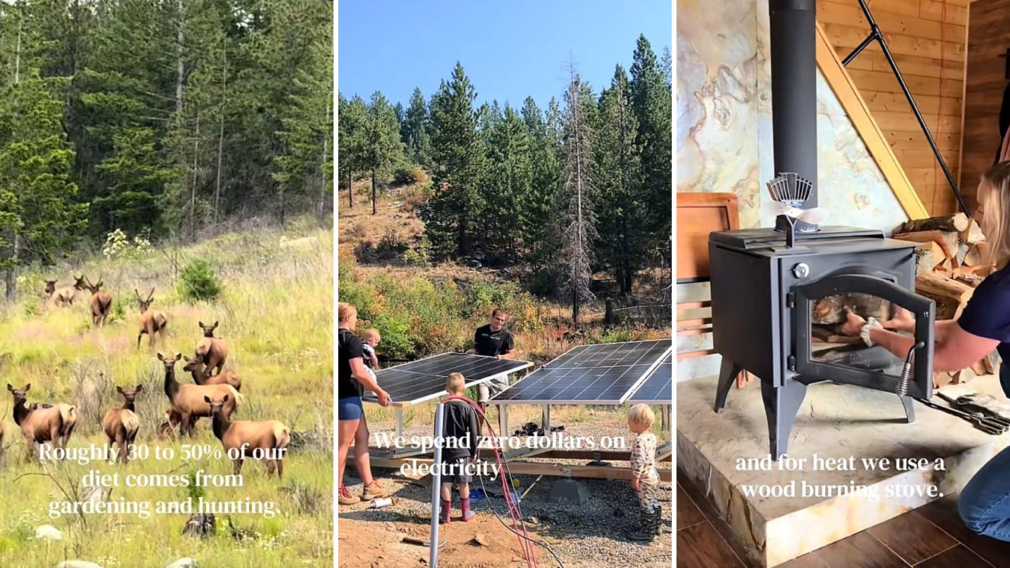 Three panels showing a field of deer, a family with an array of solar panels, and a woman adding wood to a wood burning stove