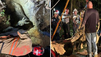 Emergency responders work to rescue an animal from a muddy hole in a wooded area.