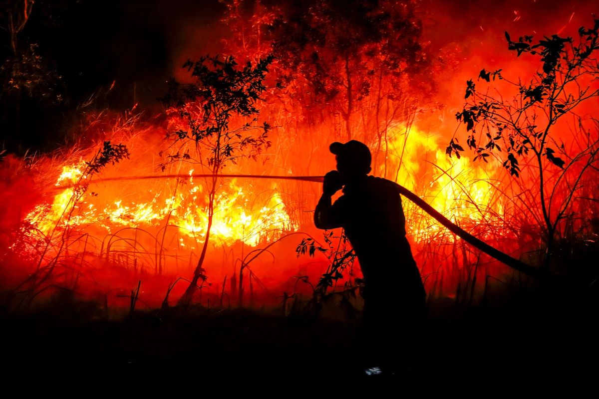 A firefighter from the Regional Disaster Management Agency fighting a forest fire at Sungai Rambutan village in Ogan Ilir, South Sumatra.