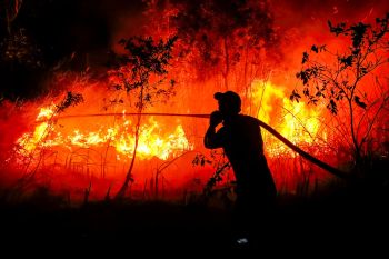 A firefighter from the Regional Disaster Management Agency fighting a forest fire at Sungai Rambutan village in Ogan Ilir, South Sumatra.