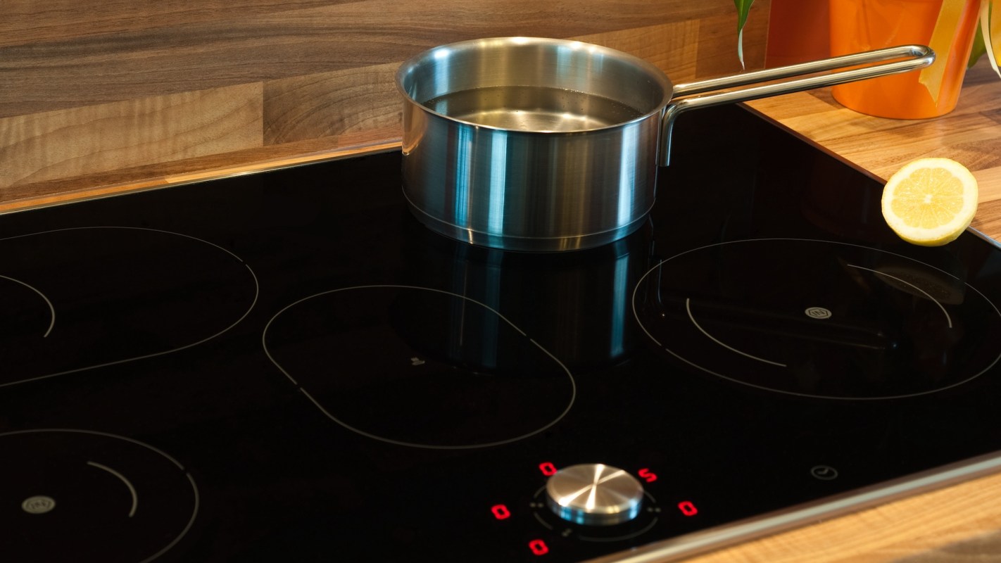 A pot with water on an electric stovetop, next to a sliced lemon and a potted plant.