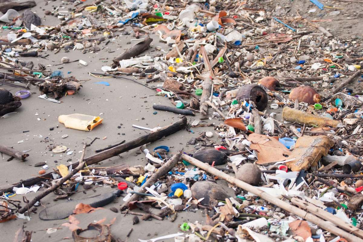 A beach covered in various types of plastic and debris.