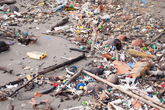 A beach covered in various types of plastic and debris.