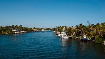 A canal lined with palm trees and houses, featuring several boats docked along the waterway.