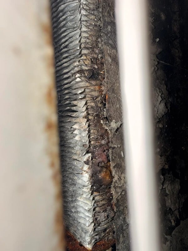 Close up of what I see when I put my camera close to the slat