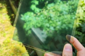 A hand holds a transparent sheet against a backdrop of green foliage.