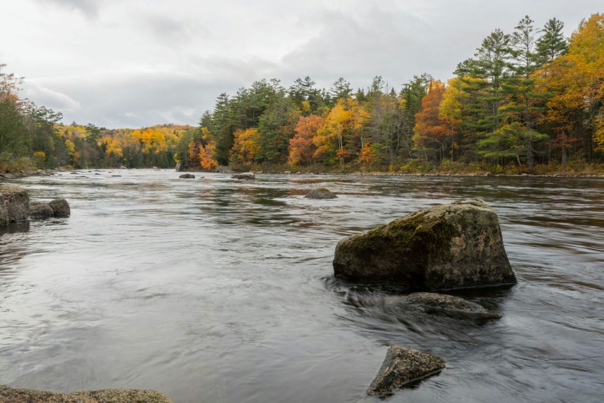 The Penobscot River.