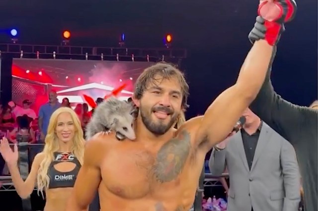 MMA fighter saved a baby opossum from the road, now tiny rescues keep showing up