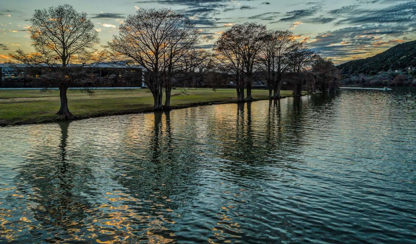 Trees reflect in calm water under a cloudy sky at sunset.
