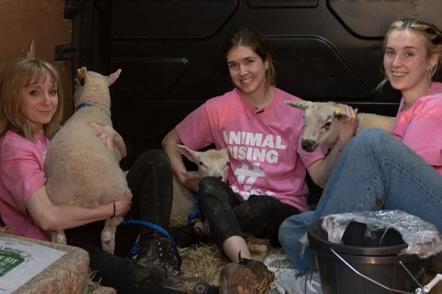 Three individuals sit in a space surrounded by hay, each holding a lamb and wearing matching pink shirts.