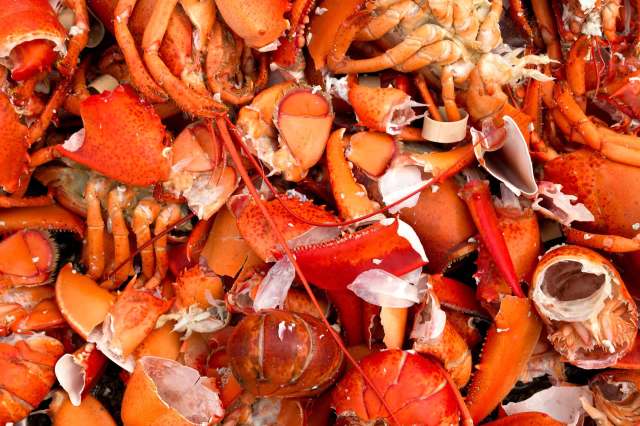 A pile of cracked lobster shells in various shades of orange and red.