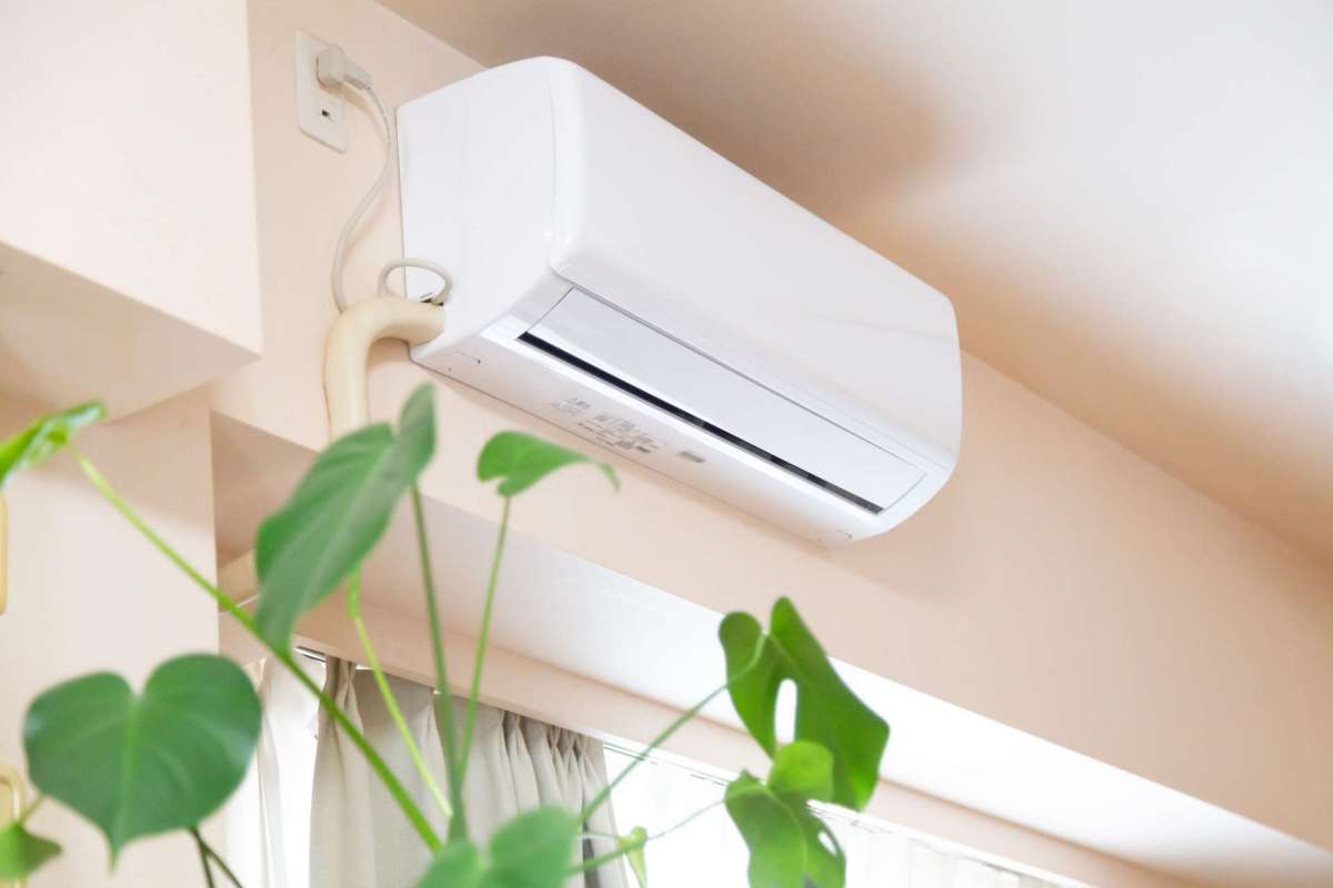 An air conditioning unit mounted on a wall above a potted plant.