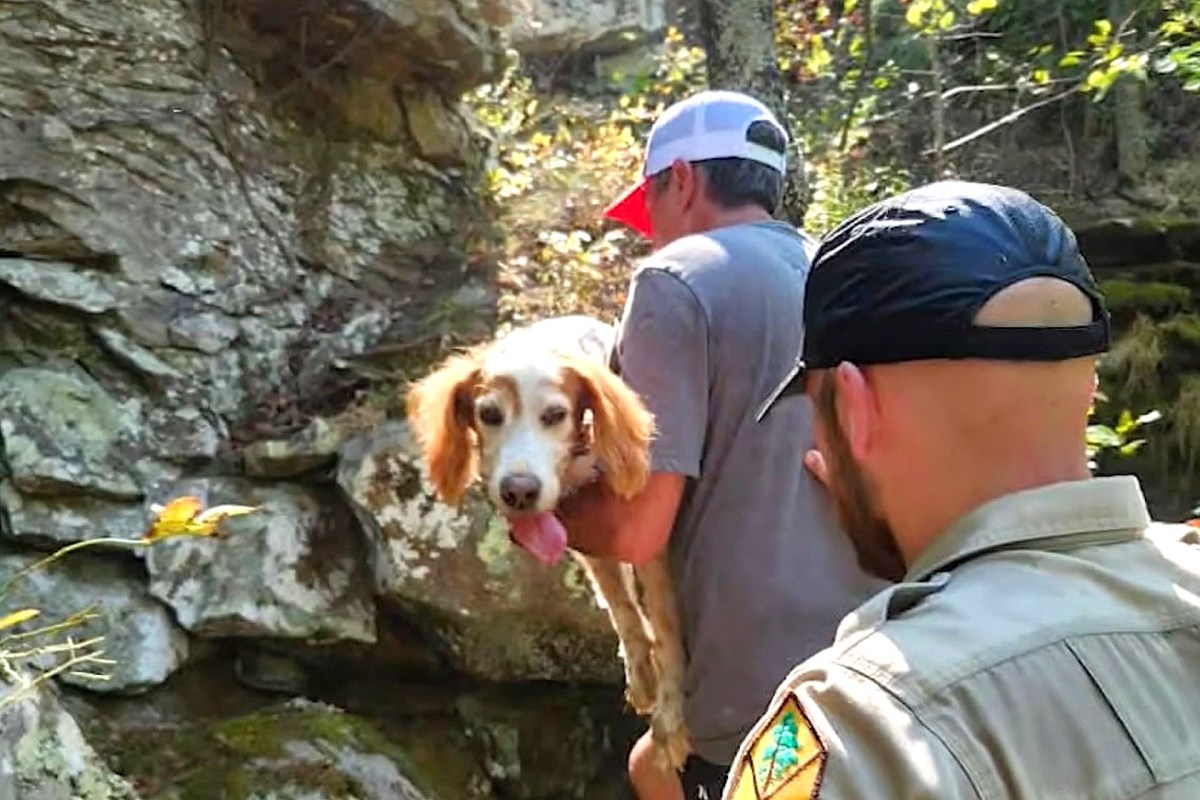 A person carries a dog in a wooded area while another person observes.